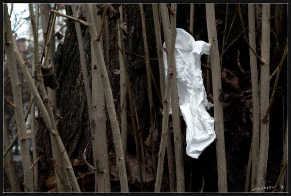 Loplop am Boxhagener Platz