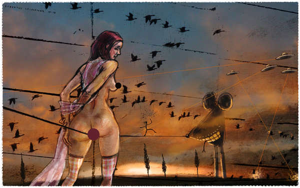 vergrößern Wildgänse