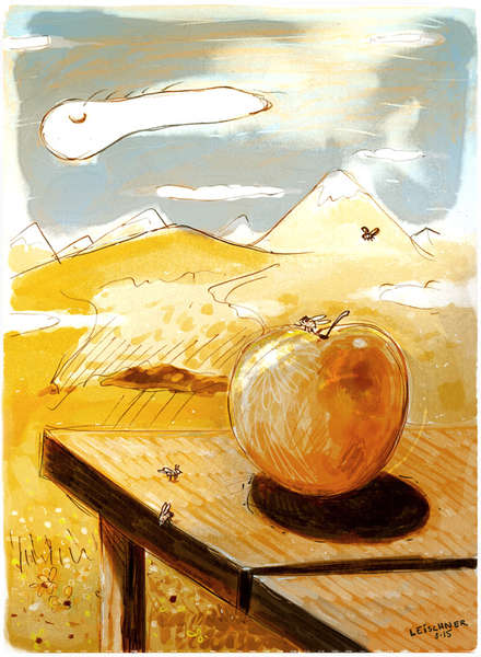 vergrößern Almapfel